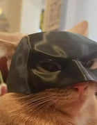 TONG Cat Bat Cool Man Mask Cat Avenger Mask Matte Cute Bat Mask Superhero Toys Cat Bat Pet