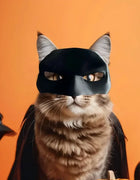 TONG Cat Bat Cool Man Mask Cat Avenger Mask Matte Cute Bat Mask Superhero Toys Cat Bat Pet