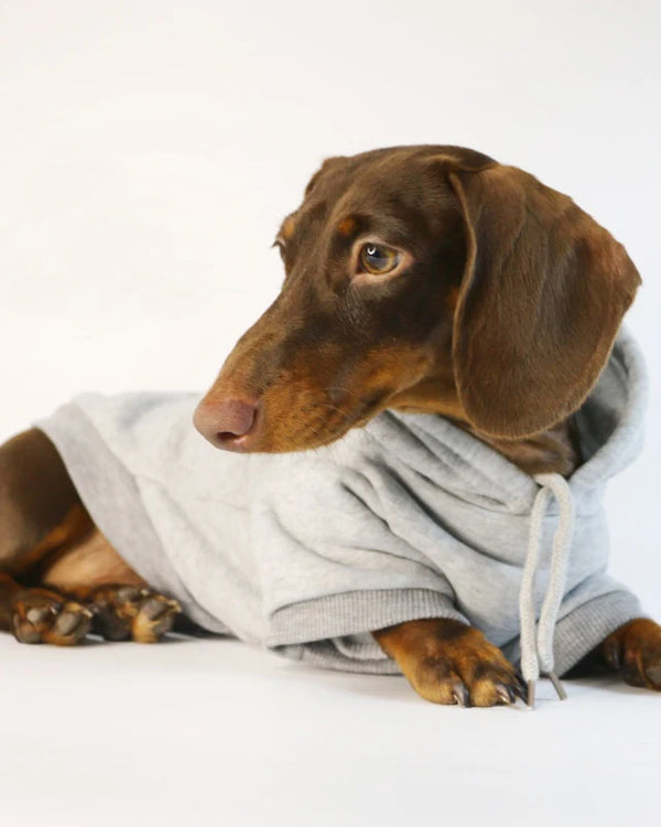 Cool Dog Sausage Hoodie for Small Dogs Warm Puppy Clothes Dachshund Pullover Mascotas Costume Clothing Ropa Cachorro