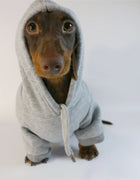 Cool Dog Sausage Hoodie for Small Dogs Warm Puppy Clothes Dachshund Pullover Mascotas Costume Clothing Ropa Cachorro