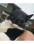 Cat Mask Black Bat Halloween Cosplay Hat Cat Funny Toys Cool Cat Masks Photos Props Pet Accessories