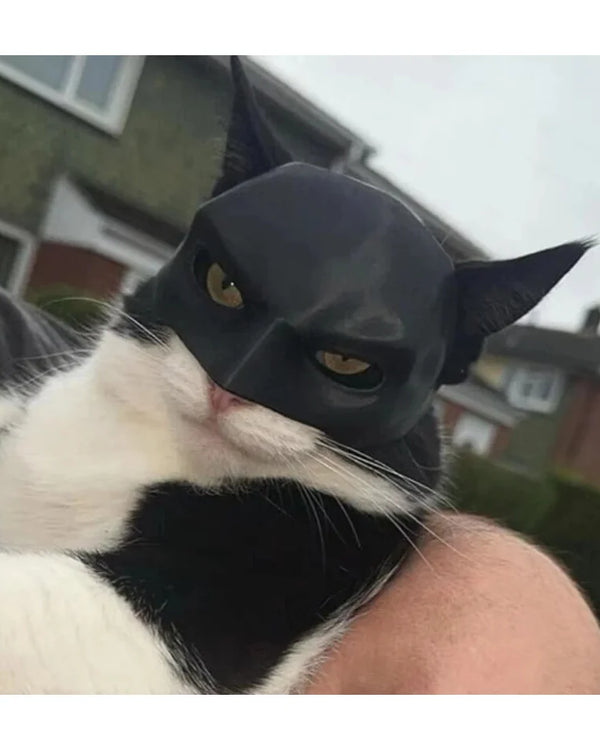 Cat Mask Black Bat Halloween Cosplay Hat Cat Funny Toys Cool Cat Masks Photos Props Pet Accessories