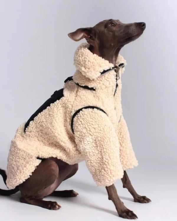 Thickened Lamb Wool Two in One Dog Cotton Coat Windproof Warm Coat High Necked Large Dog Outdoor Trendy Clothing Pet Winter Vest