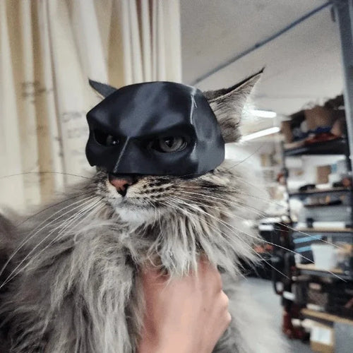 Cat Mask Black Bat Halloween Cosplay Hat Cat Funny Toys Cool Cat Masks Photos Props Pet Accessories