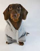 Cool Dog Sausage Hoodie for Small Dogs Warm Puppy Clothes Dachshund Pullover Mascotas Costume Clothing Ropa Cachorro