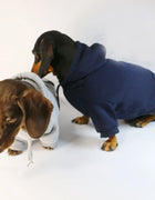 Cool Dog Sausage Hoodie for Small Dogs Warm Puppy Clothes Dachshund Pullover Mascotas Costume Clothing Ropa Cachorro