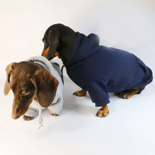 Cool Dog Sausage Hoodie for Small Dogs Warm Puppy Clothes Dachshund Pullover Mascotas Costume Clothing Ropa Cachorro