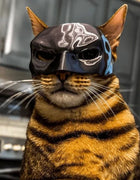 Cat Mask Black Bat Halloween Cosplay Hat Cat Funny Toys Cool Cat Masks Photos Props Pet Accessories