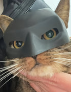 Bat Pet Mask Cool Photo Prop for Cats Dogs Halloween Funny Black Superhero Cute Bat Cat Accessory Pet Toy Prank Decor