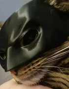 Cat Bat Cool Man Mask Cat Mask Matte Cute Bat Mask Toys Cat Bat Halloween Costume For Cats Pet Supplies
