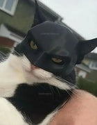TONG Cat Bat Cool Man Mask Cat Avenger Mask Matte Cute Bat Mask Superhero Toys Cat Bat Pet