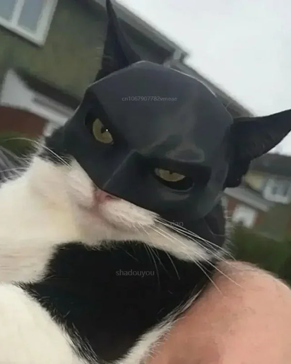TONG Cat Bat Cool Man Mask Cat Avenger Mask Matte Cute Bat Mask Superhero Toys Cat Bat Pet