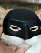 Bat Pet Mask Cool Photo Prop for Cats Dogs Halloween Funny Black Superhero Cute Bat Cat Accessory Pet Toy Prank Decor