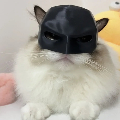 Cat Bat Cool Man Mask Cat Mask Matte Cute Bat Mask Toys Cat Bat Halloween Costume For Cats Pet Supplies